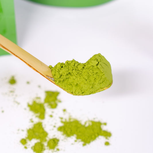 Mori Matcha Genmaicha Powder
