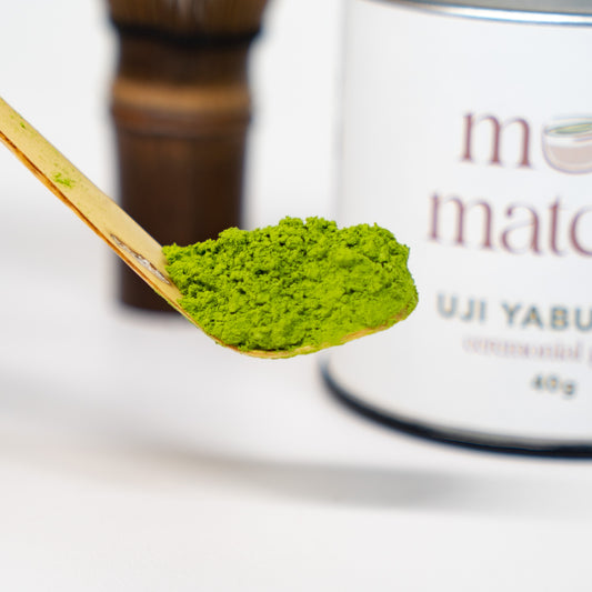 Uji Yabukita Ceremonial Matcha
