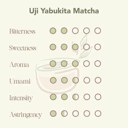 Uji Yabukita Ceremonial Matcha